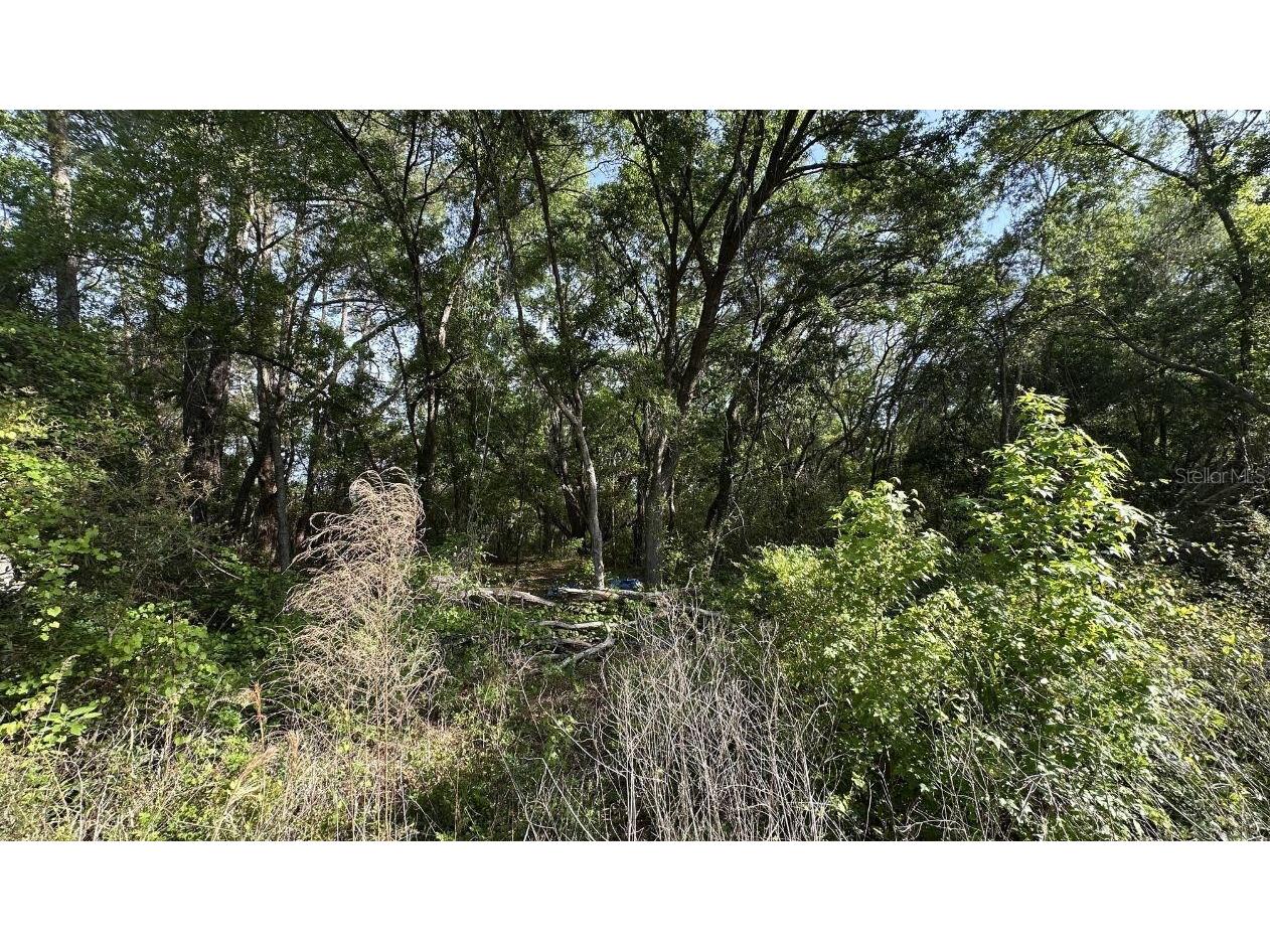 0 Oak Ln Way Ocala FL 34472 O6408040 image6