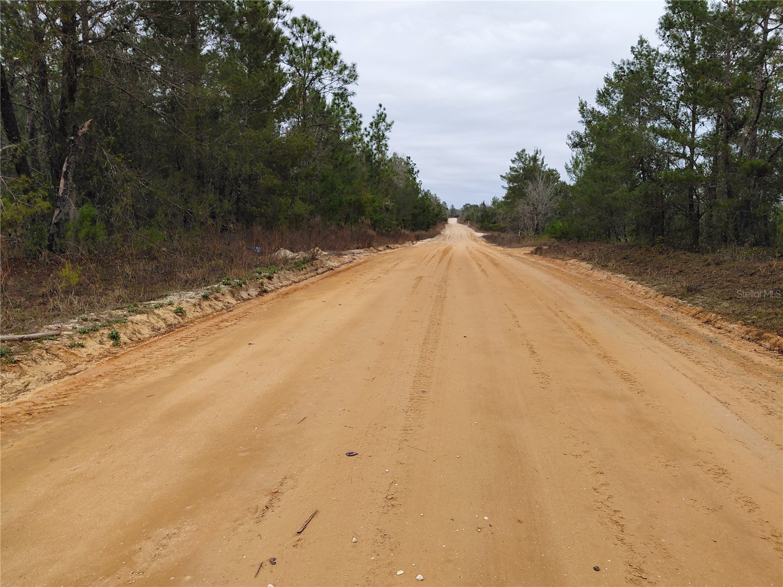 0 Oak Terrace Interlachen FL 32148 GC537370 image1