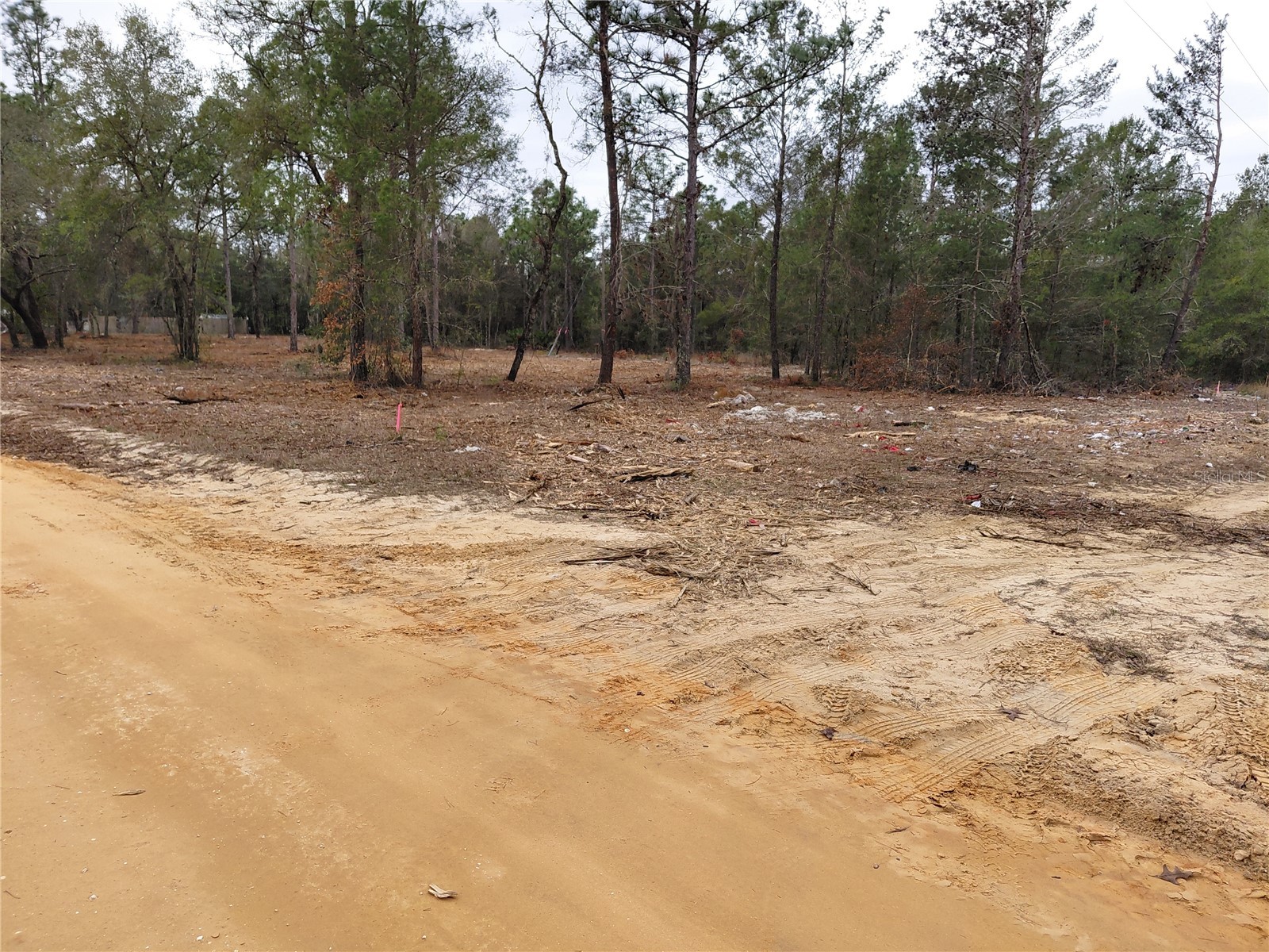 0 Oak Terrace Interlachen FL 32148 GC537370 image10