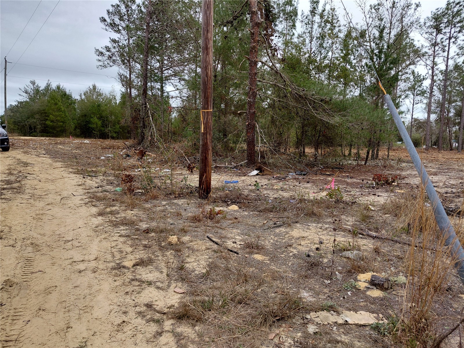 0 Oak Terrace Interlachen FL 32148 GC537370 image11