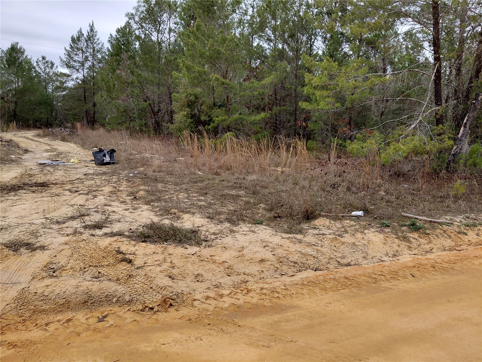 0 Oak Terrace Interlachen FL 32148 GC537370 image2