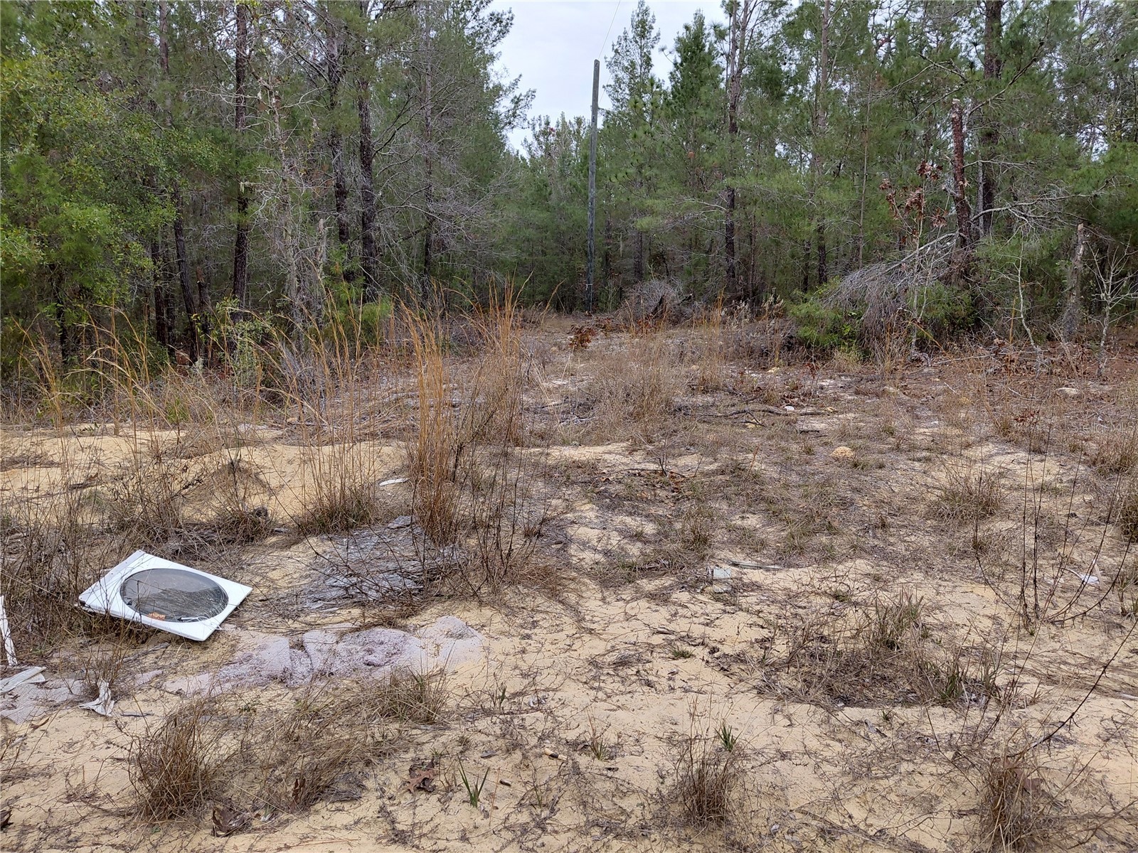 0 Oak Terrace Interlachen FL 32148 GC537370 image3