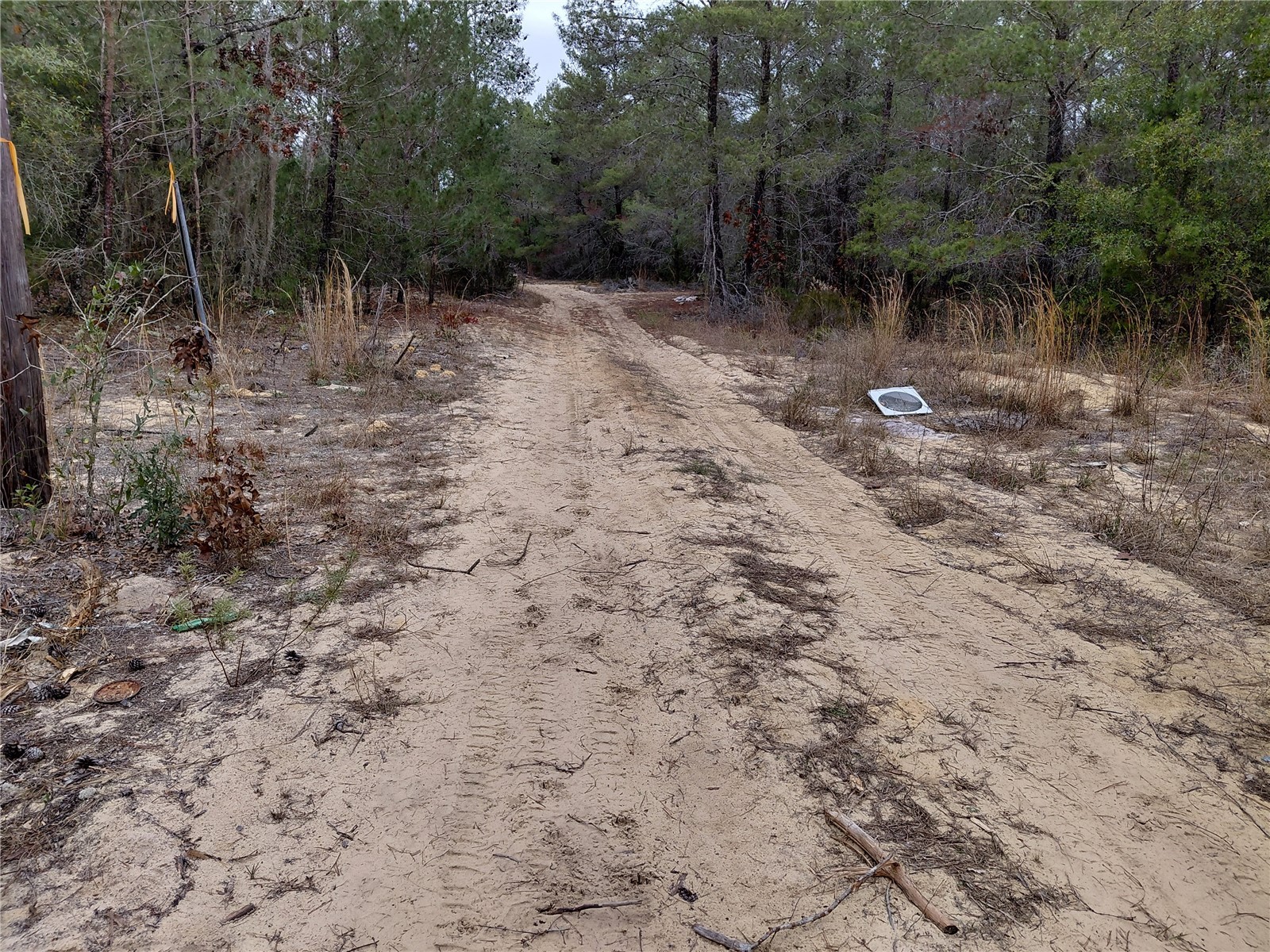 0 Oak Terrace Interlachen FL 32148 GC537370 image4