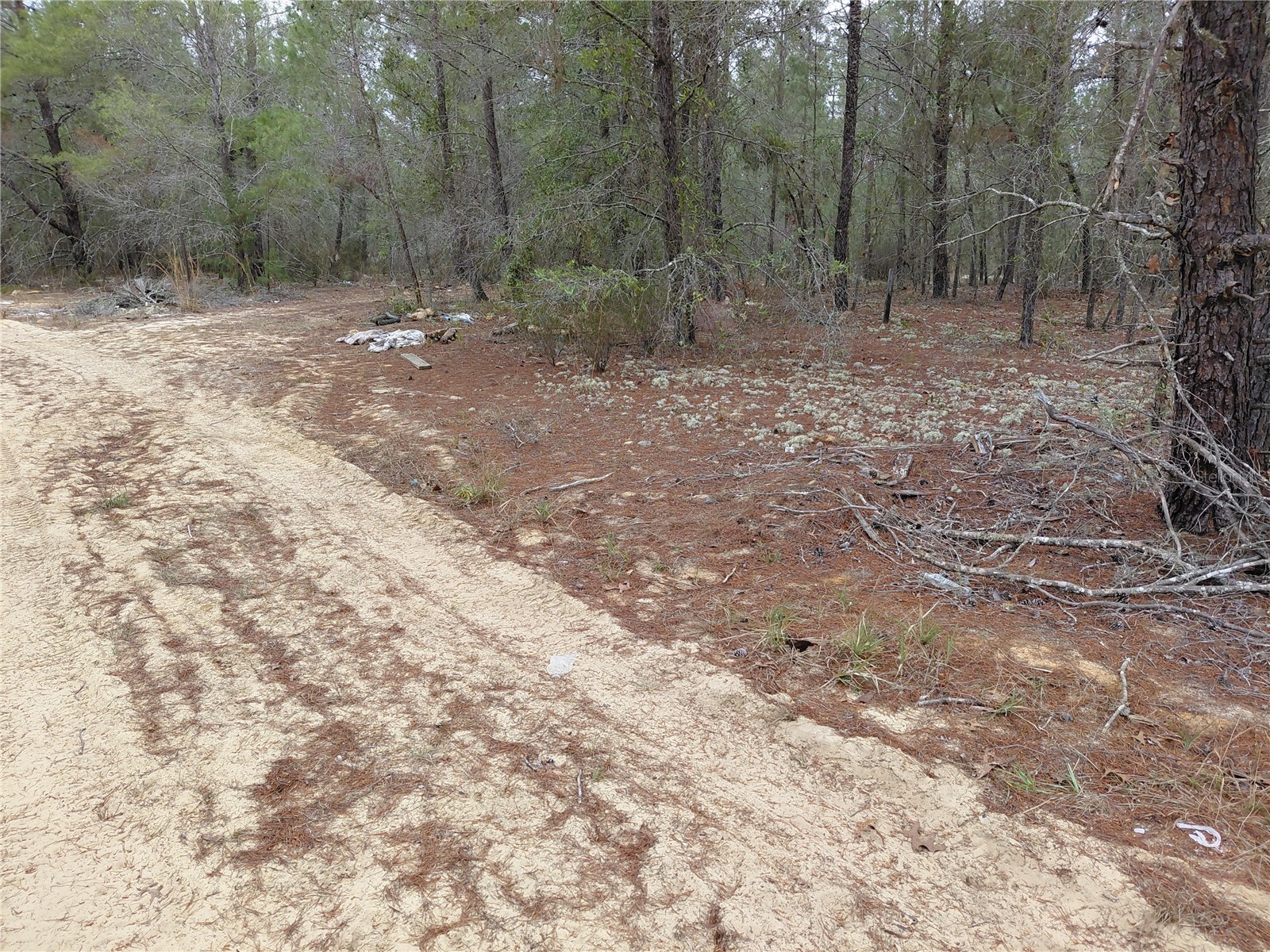 0 Oak Terrace Interlachen FL 32148 GC537370 image6