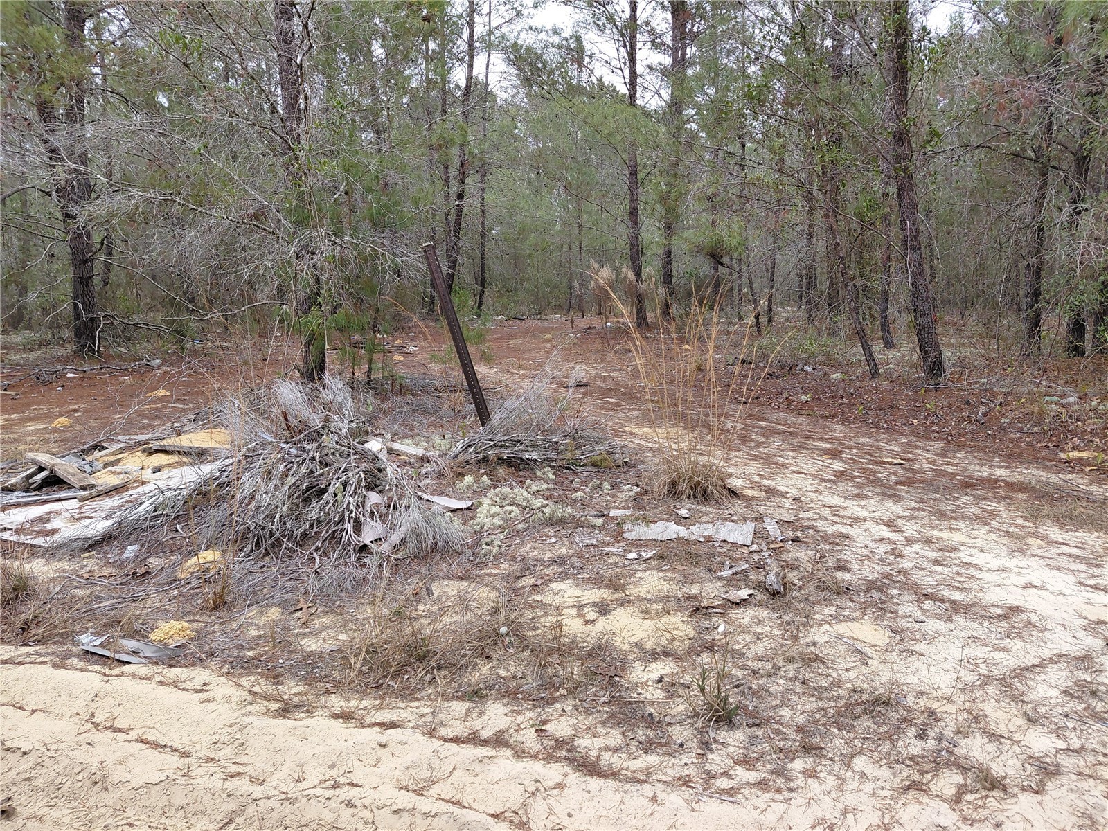 0 Oak Terrace Interlachen FL 32148 GC537370 image7