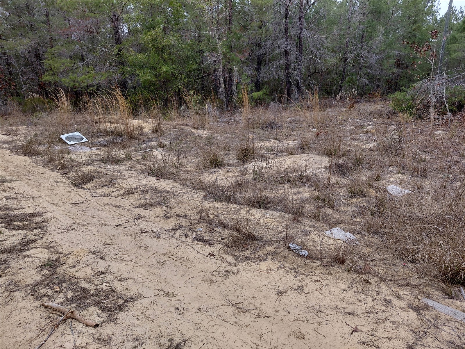 0 Oak Terrace Interlachen FL 32148 GC537370 image8