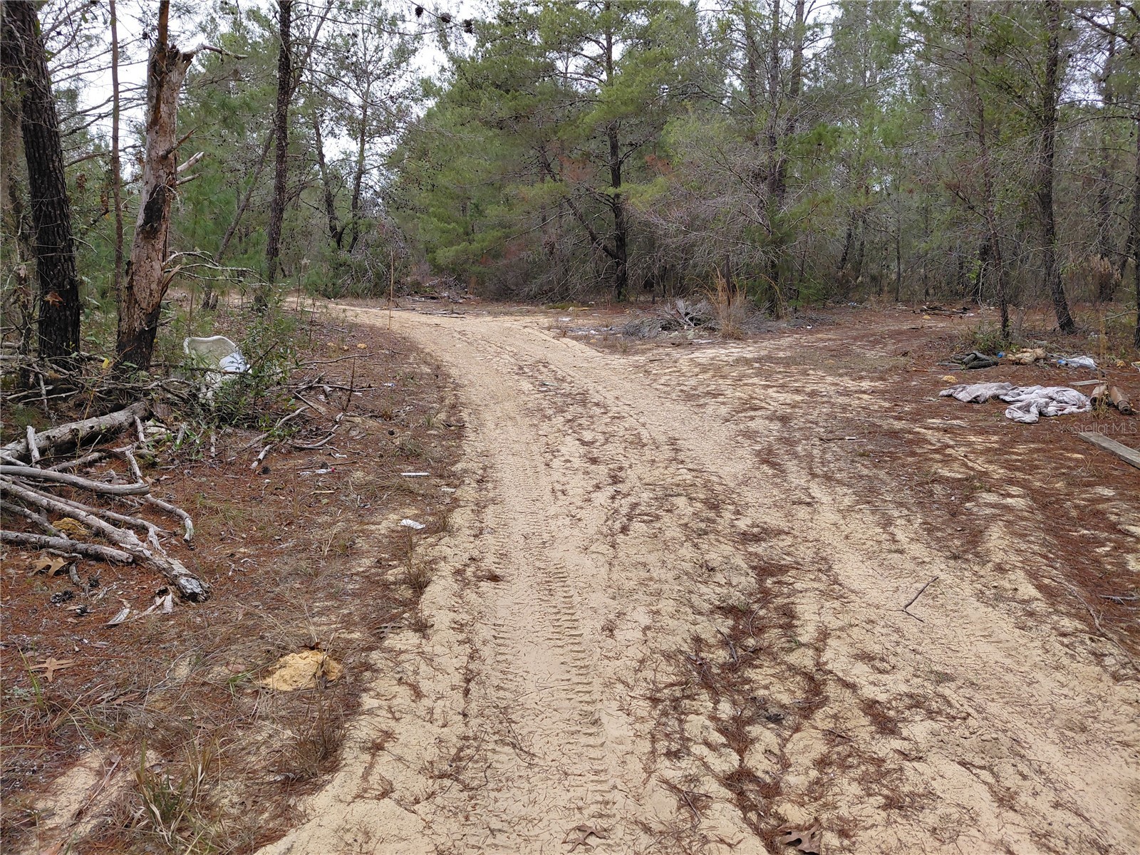 0 Oak Terrace Interlachen FL 32148 GC537370 image9