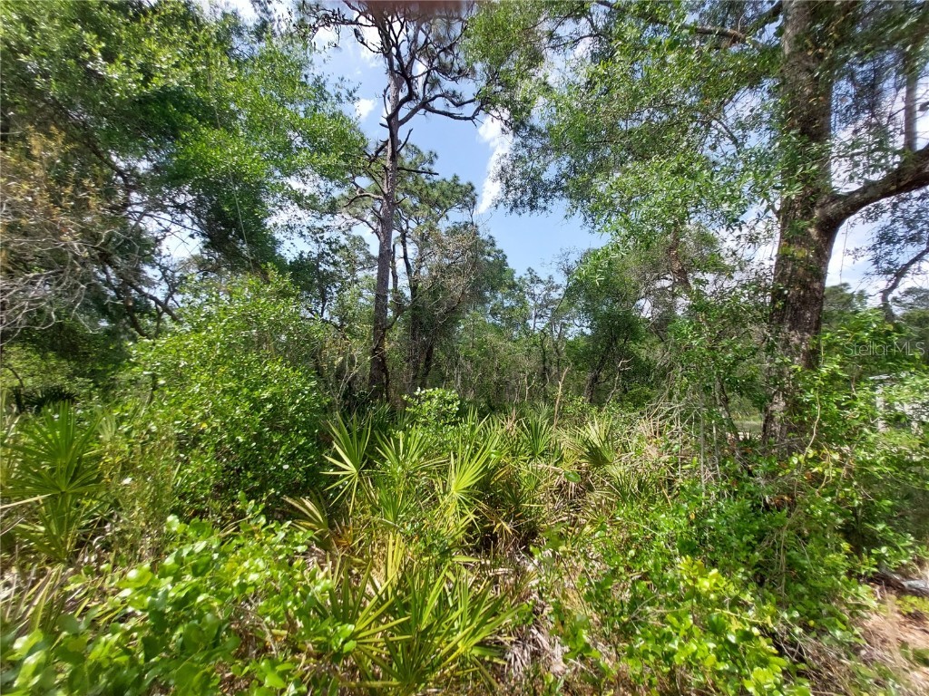 0 Oconee Boulevard New Port Richey FL 34654 - Moon Lake W7853986 image1