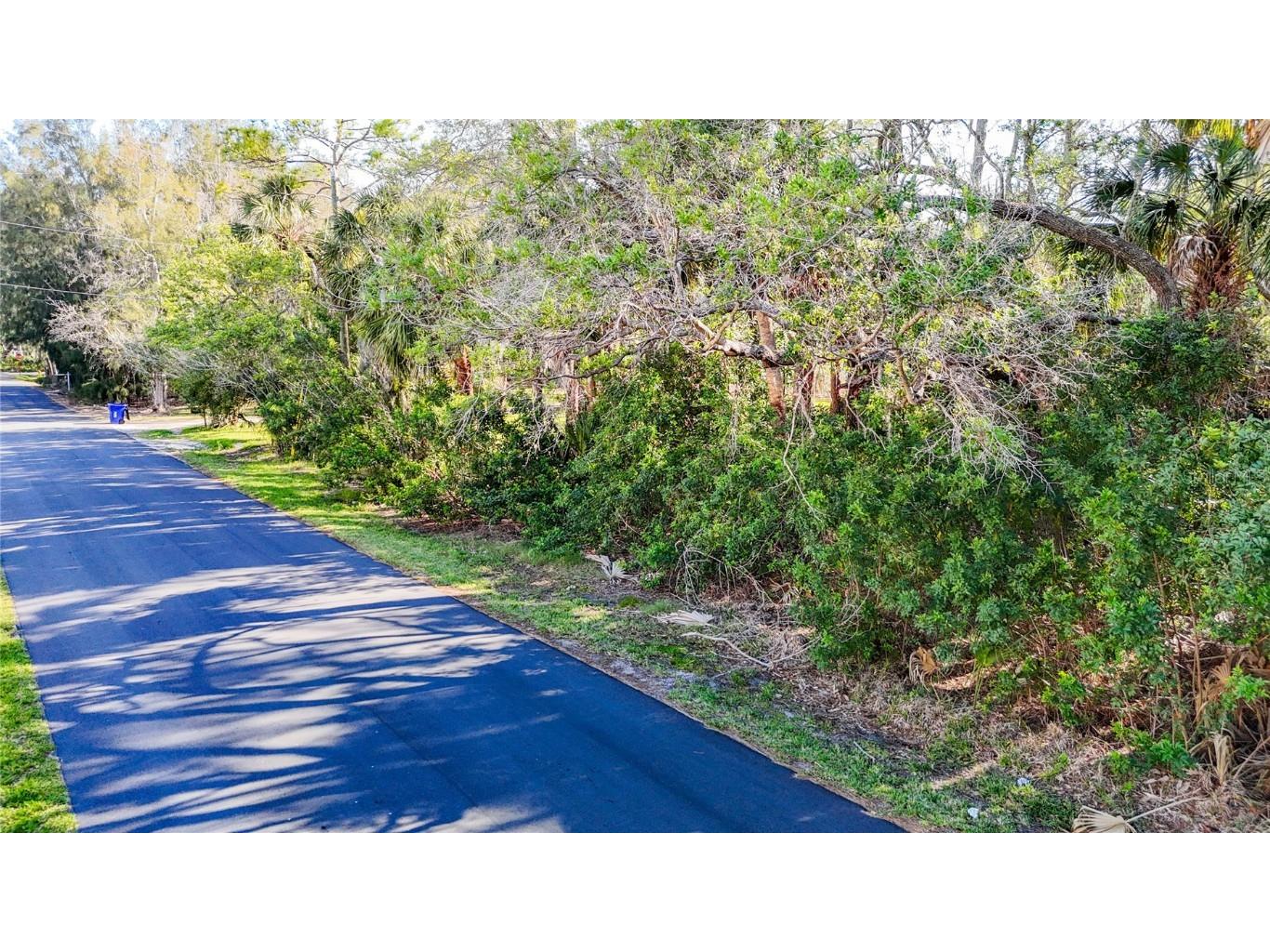 0 Oelsner Street Port Richey FL 34668 W7874576 image18