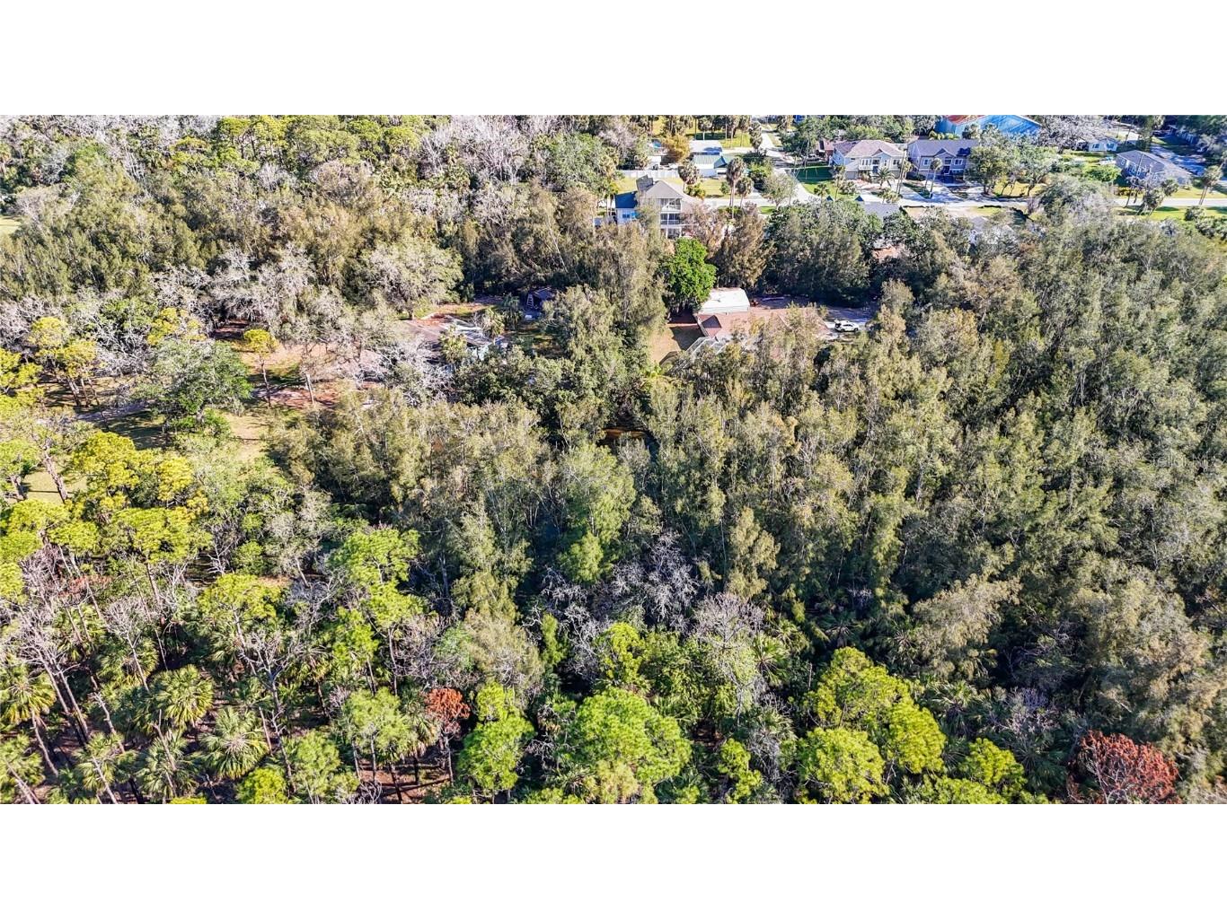 0 Oelsner Street Port Richey FL 34668 W7874576 image19