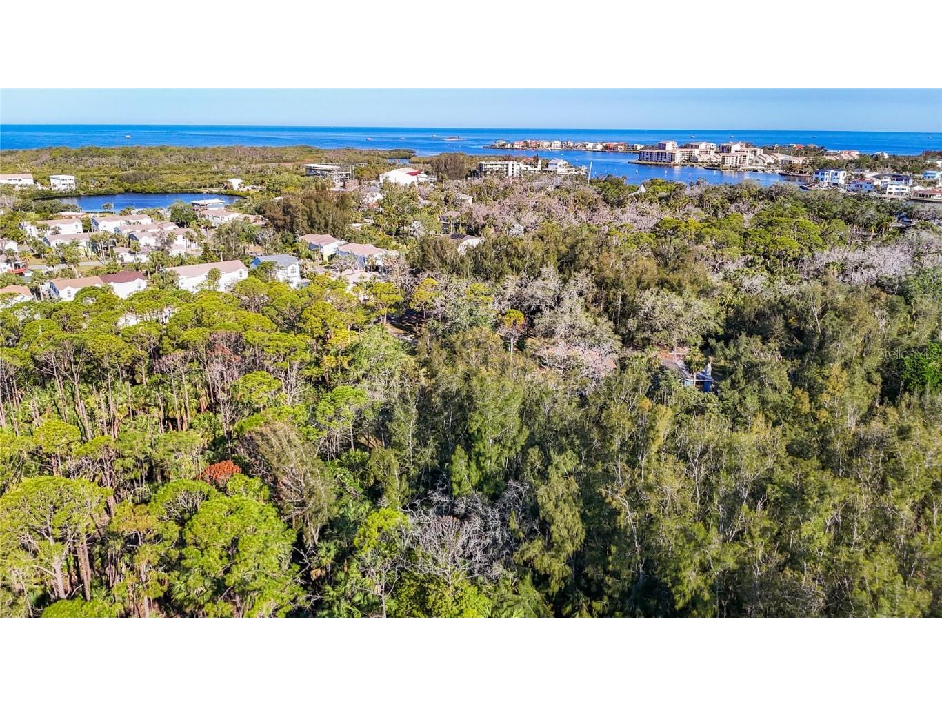 0 Oelsner Street Port Richey FL 34668 W7874576 image20