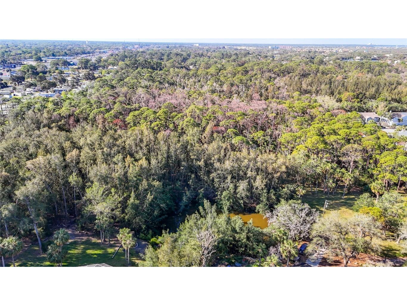 0 Oelsner Street Port Richey FL 34668 W7874576 image23