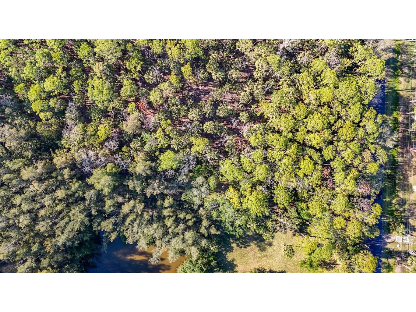 0 Oelsner Street Port Richey FL 34668 W7874576 image28