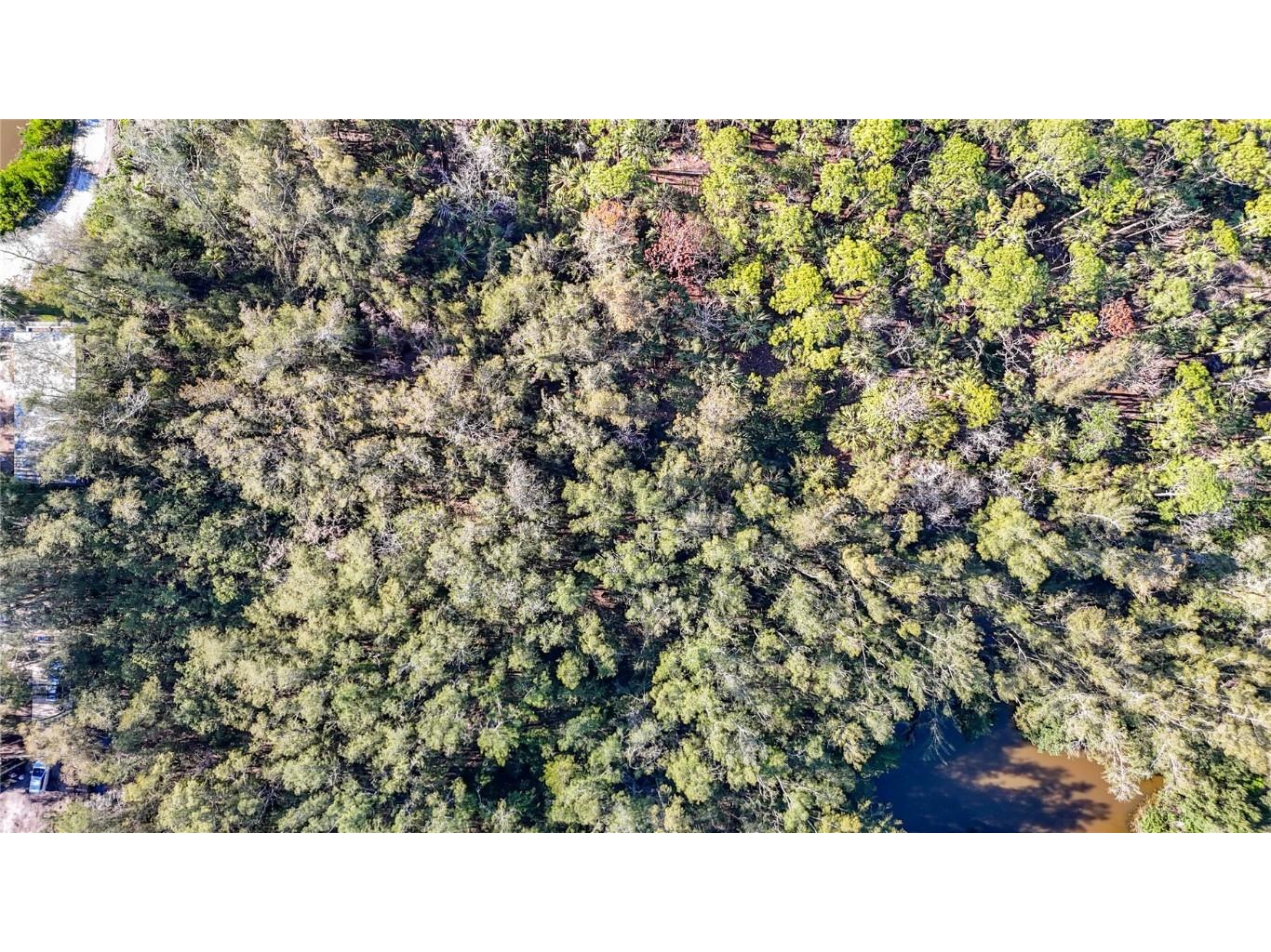 0 Oelsner Street Port Richey FL 34668 W7874576 image29