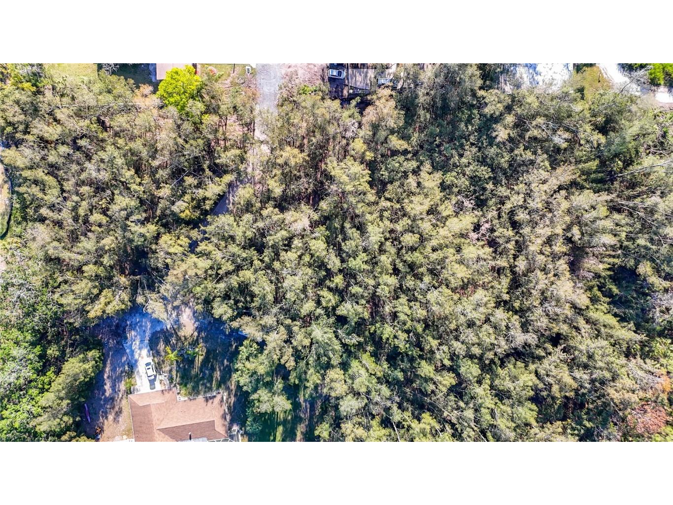 0 Oelsner Street Port Richey FL 34668 W7874576 image30