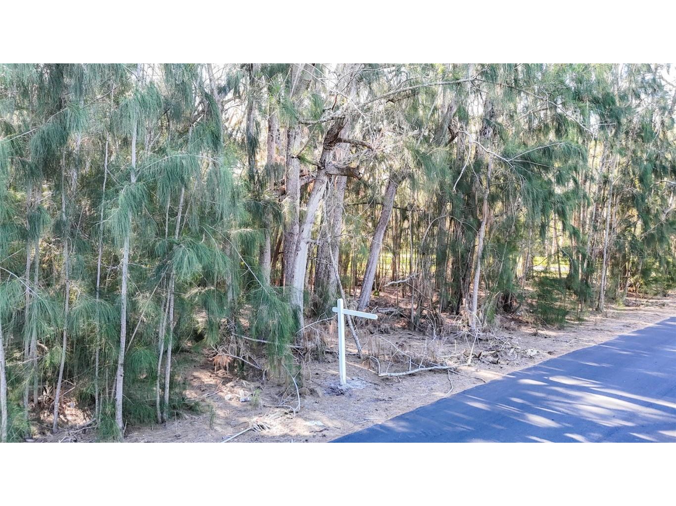 0 Oelsner Street Port Richey FL 34668 W7874576 image4