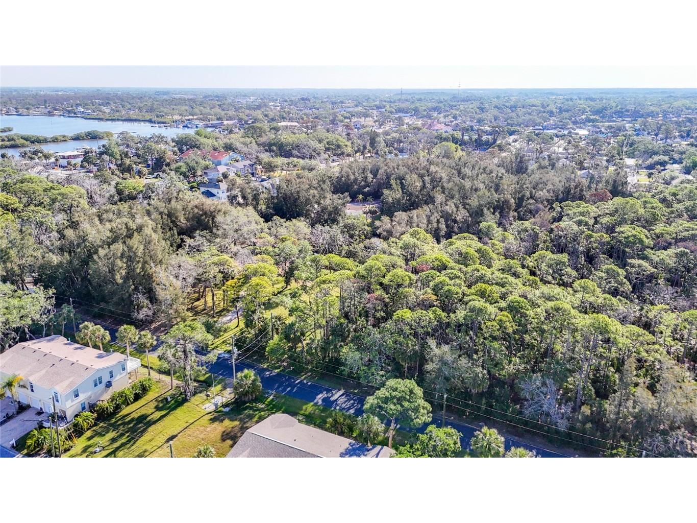 0 Oelsner Street Port Richey FL 34668 W7874576 image9