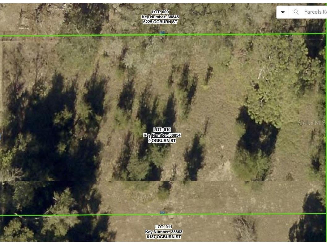 0 Ogburn Street Brooksville FL 34602 L4962715 image1