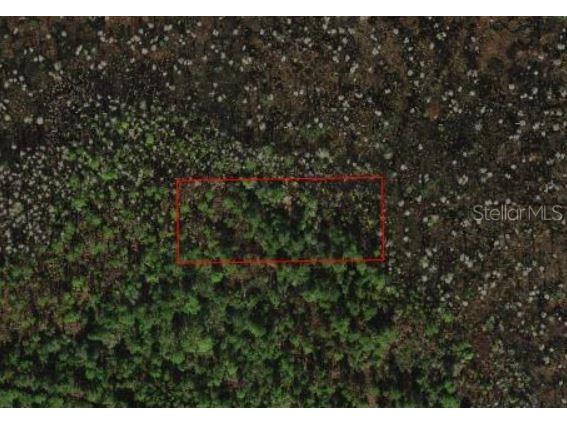 0 Old Grade Road Polk City FL 33868 O6097337 image1