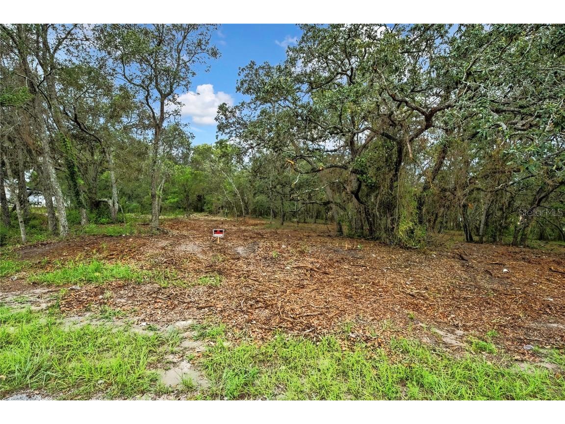 0 Old Shady Hills Road Spring Hill FL 34610 W7877194 image11