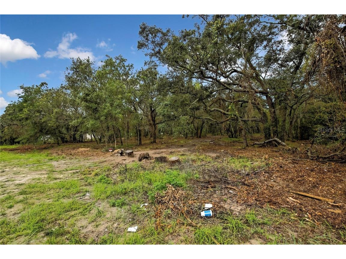 0 Old Shady Hills Road Spring Hill FL 34610 W7877194 image15