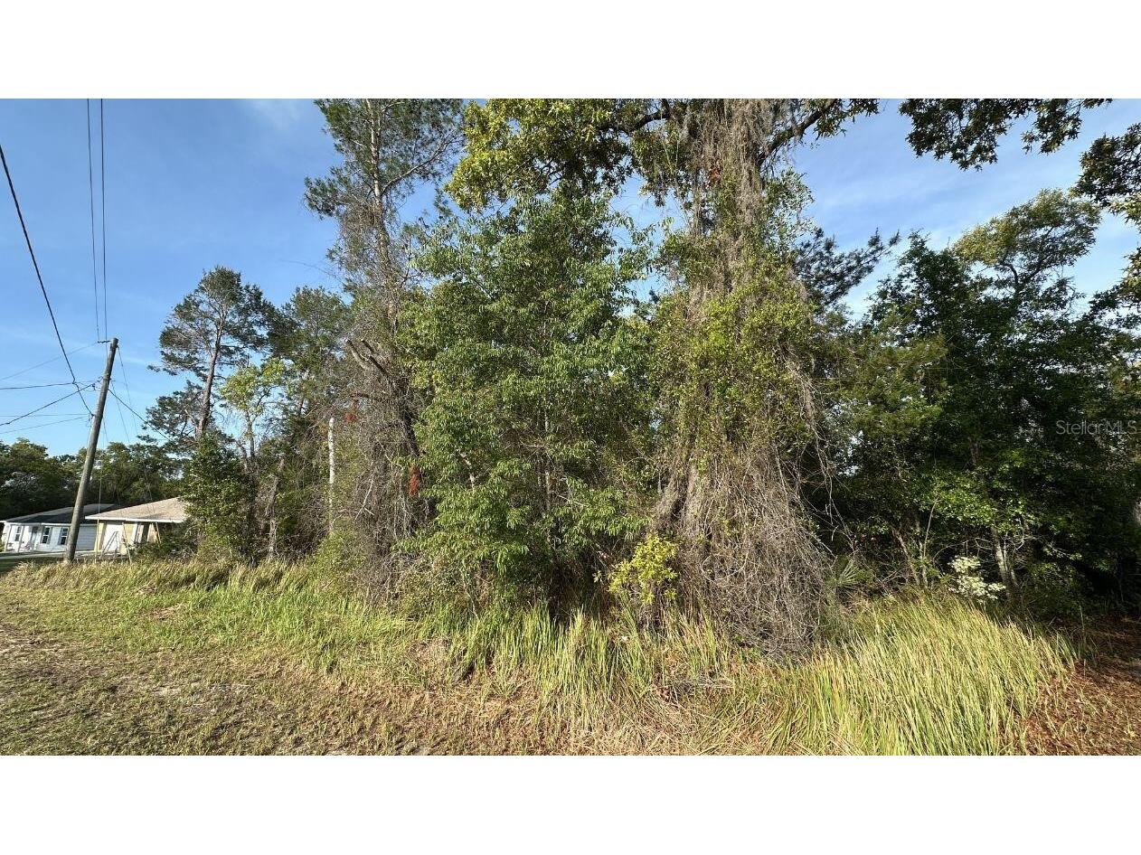 0 Olive Circle Ocala FL 34472 O6408041 image1