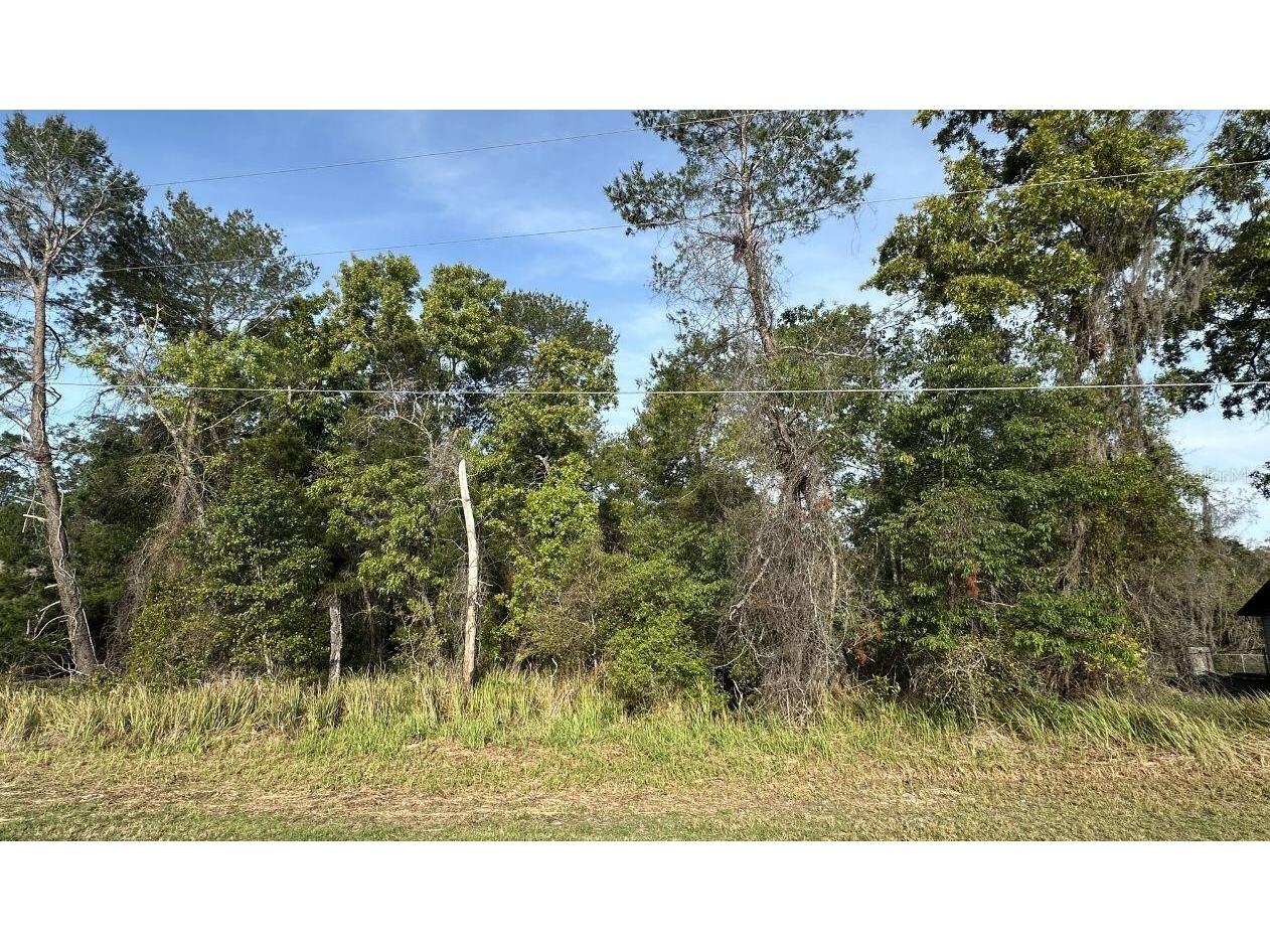 0 Olive Circle Ocala FL 34472 O6408041 image7