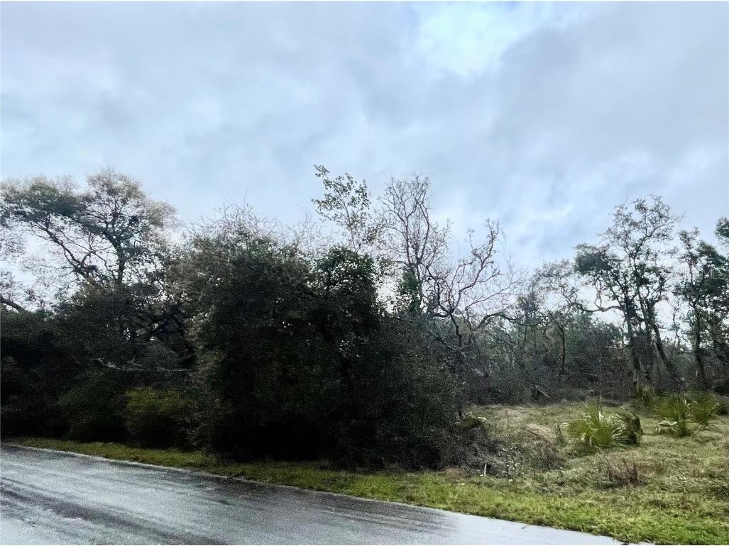 0 Olive Place Ocala FL 34472 OM696873 image1