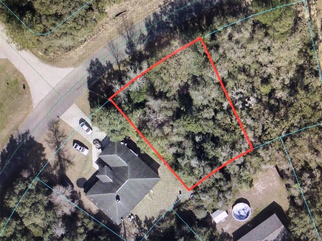 0 Olive Road Ocala FL 34473 OM704984 image1