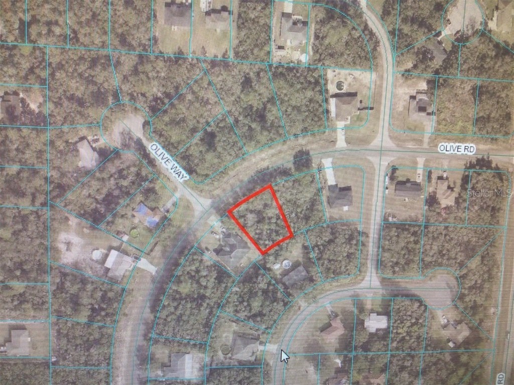 0 Olive Road Ocala FL 34473 OM704984 image3
