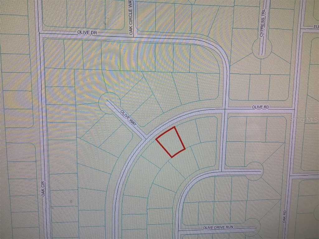 0 Olive Road Ocala FL 34473 OM704984 image4