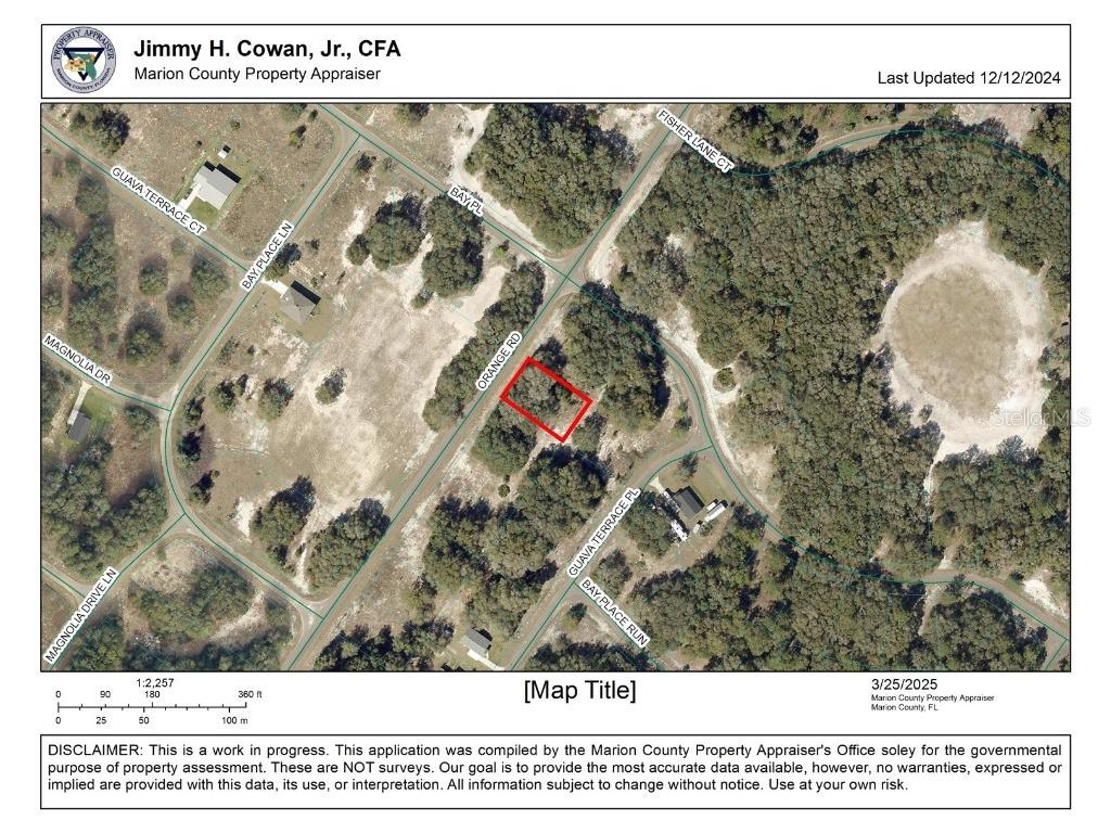 0 Orange Rd Ocklawaha FL 32179 OM697989 image1