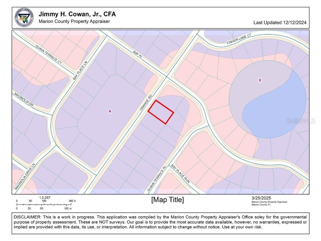 0 Orange Rd Ocklawaha FL 32179 OM697989 image3