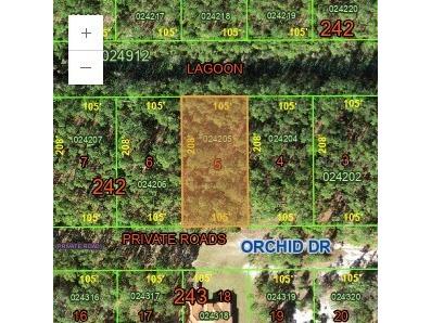 0 Orchid Indian Lake Estates FL 33855 TB8406752 image1