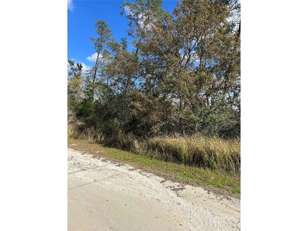 0 Orinoco Weeki Wachee FL 34613 W7861340 image1