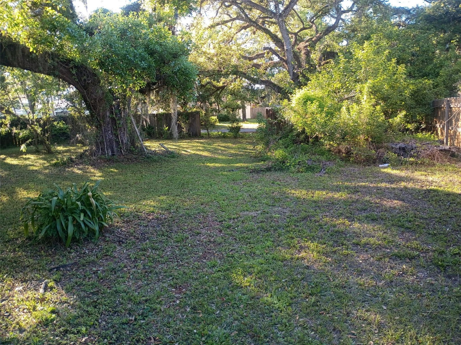 0 Outpost Drive New Port Richey FL 34654 W7884238 image1