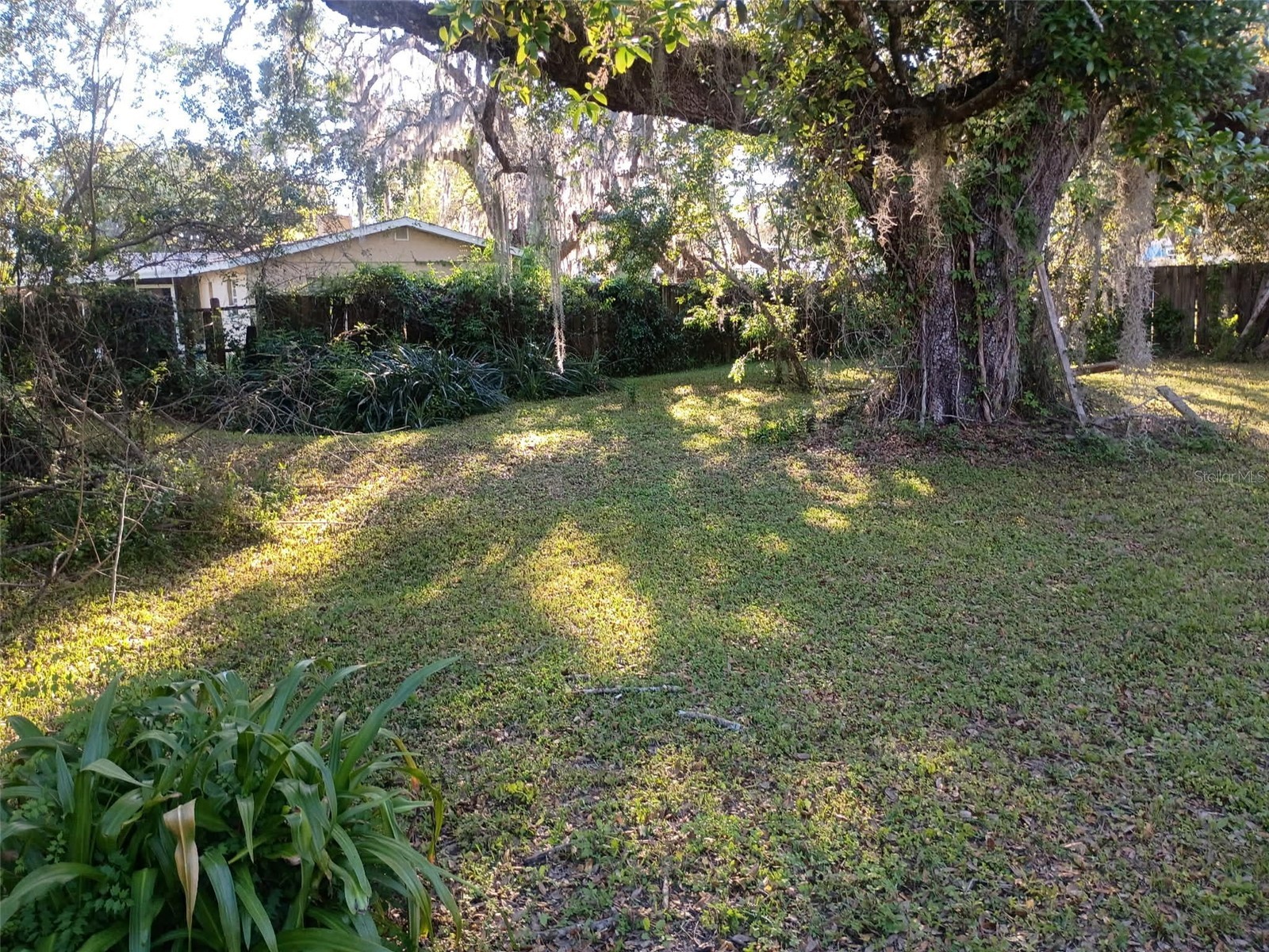 0 Outpost Drive New Port Richey FL 34654 W7884238 image5