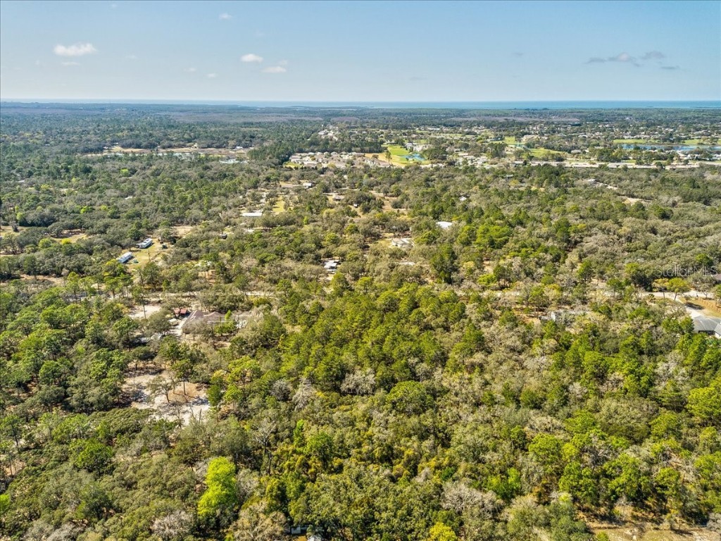 0 Ozark Hudson FL 34667 W7853720 image1