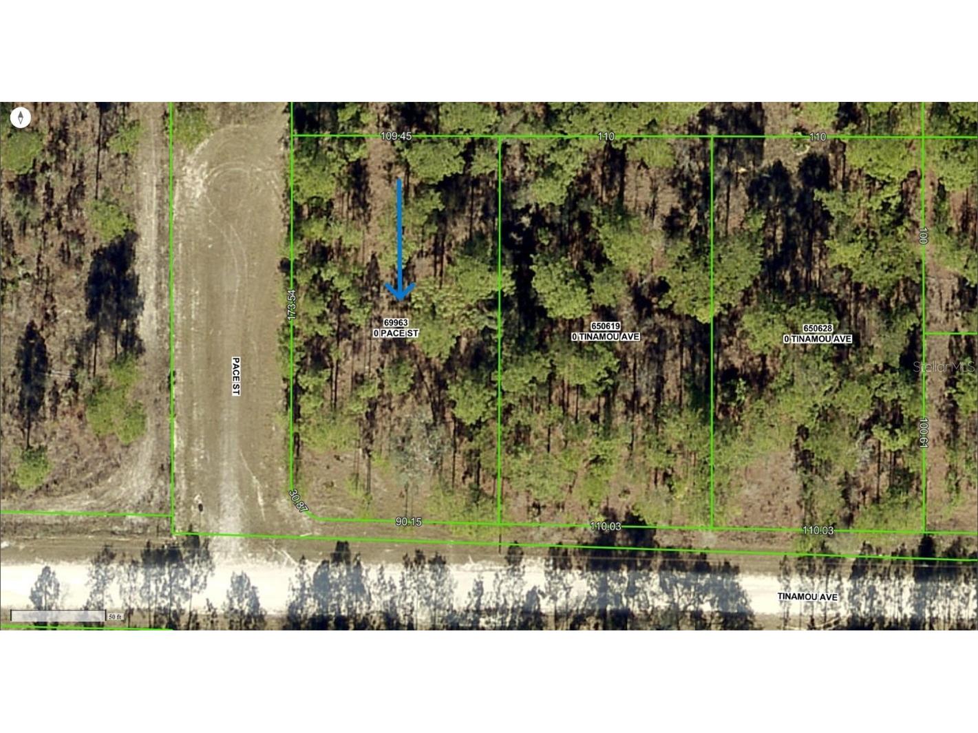 0 Pace Street Brooksville FL 34614 W7872135 image1