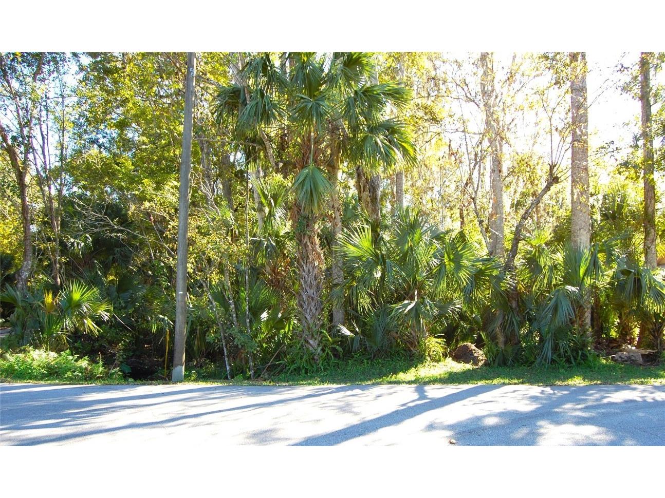 0 Palm Drive New Smyrna Beach FL 32168 NS1083323 image1