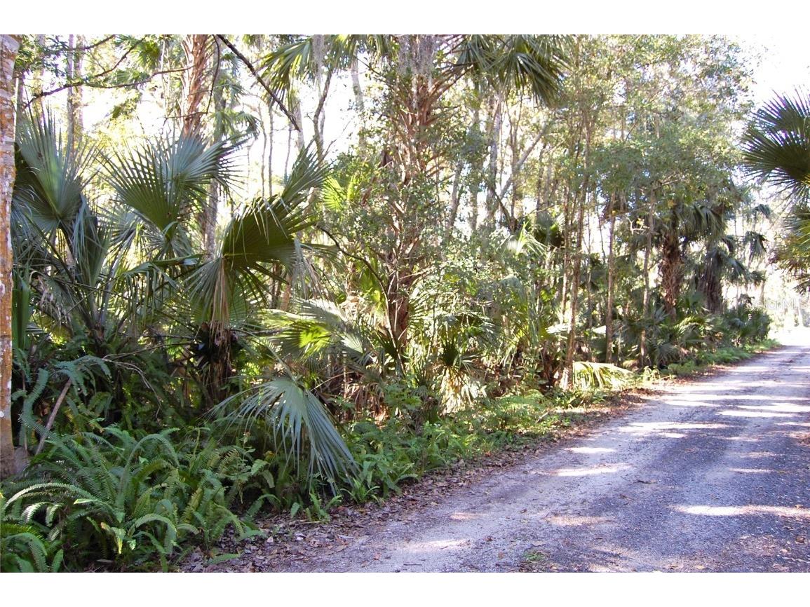 0 Palm Drive New Smyrna Beach FL 32168 NS1083323 image2