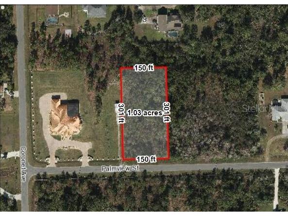 0 Palmview Street Orlando FL 32833 O6151893 image1