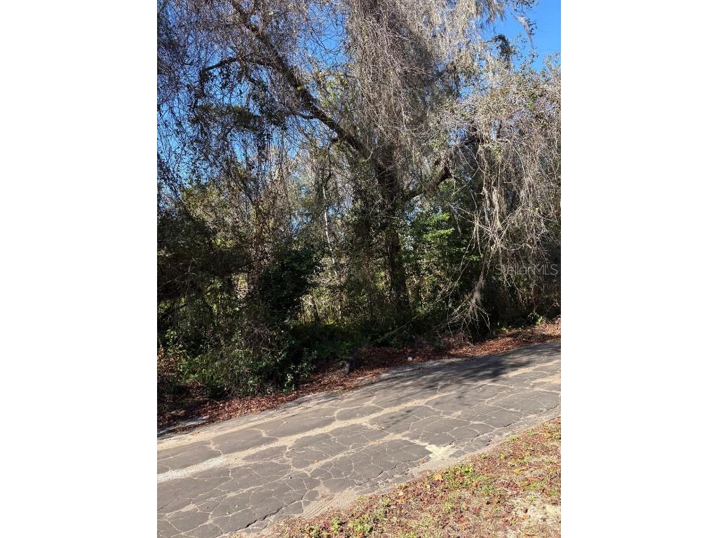 0 Pana Street New Port Richey FL 34654 W7881774 image1