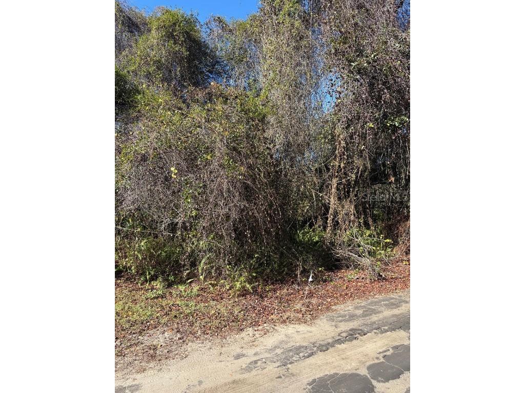 0 Pana Street New Port Richey FL 34654 W7881774 image2