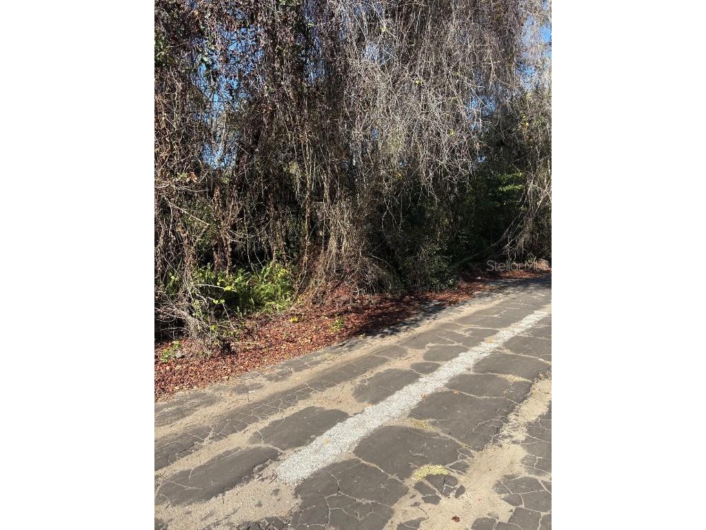 0 Pana Street New Port Richey FL 34654 W7881774 image3