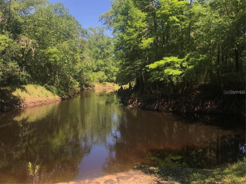 0 Park Drive Dade City FL 33523 - WITHLACOOCHEE RIVER TB8336855 image1