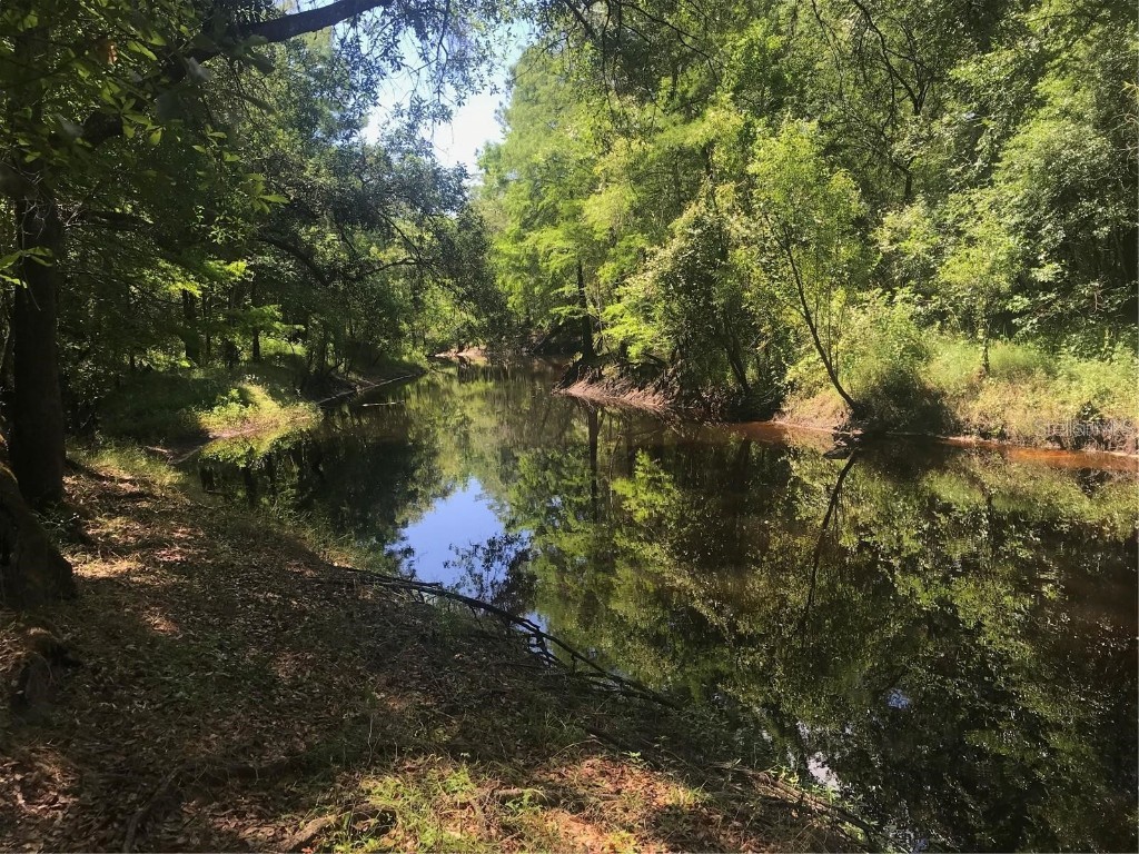 0 Park Drive Dade City FL 33523 - WITHLACOOCHEE RIVER TB8336860 image1