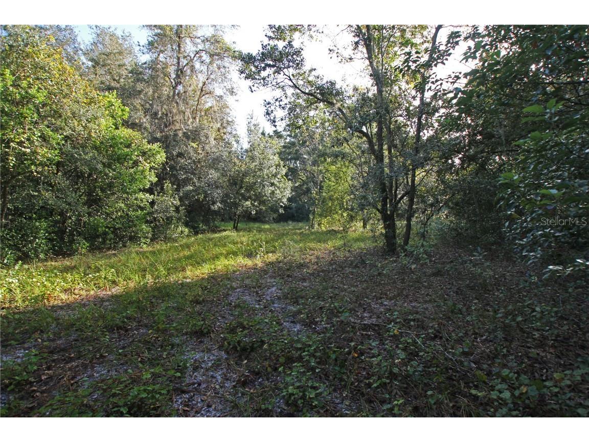 0 Patricia Drive Bartow FL 33830 L4948414 image10