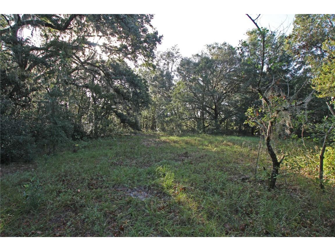 0 Patricia Drive Bartow FL 33830 L4948414 image11