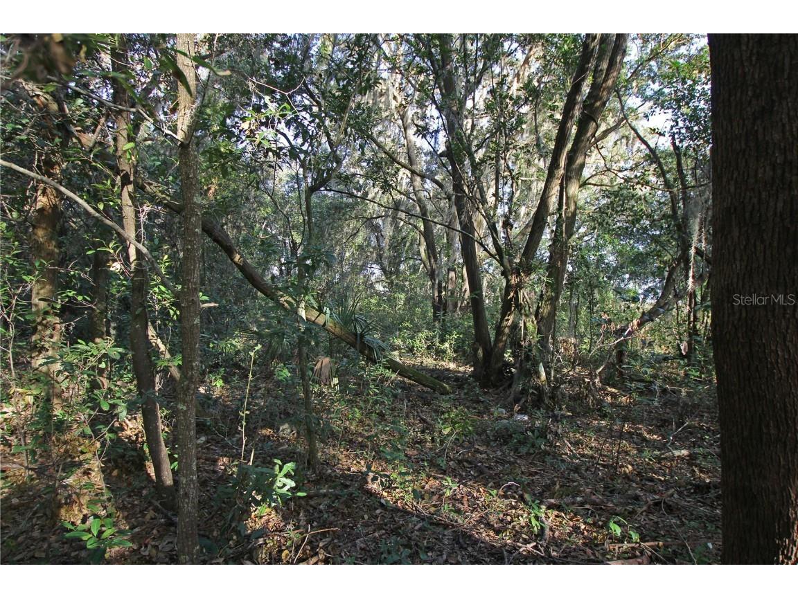 0 Patricia Drive Bartow FL 33830 L4948414 image13